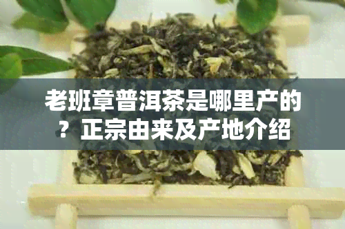 老班章普洱茶是哪里产的？正宗由来及产地介绍