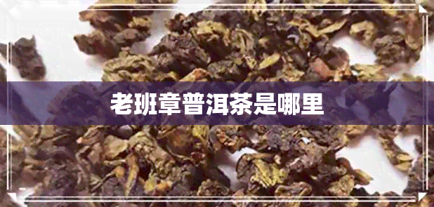 老班章普洱茶是哪里