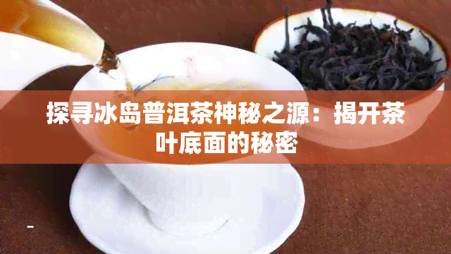 探寻冰岛普洱茶神秘之源：揭开茶叶底面的秘密