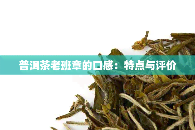 普洱茶老班章的口感：特点与评价