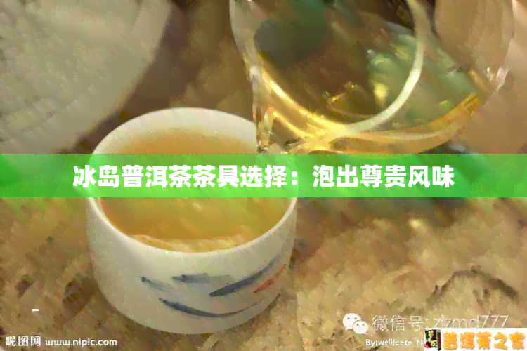 冰岛普洱茶茶具选择：泡出尊贵风味