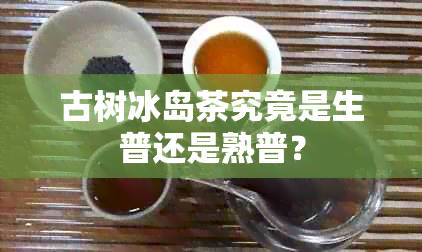 古树冰岛茶究竟是生普还是熟普？