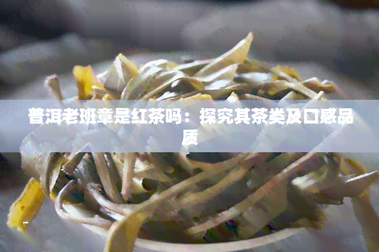 普洱老班章是红茶吗：探究其茶类及口感品质