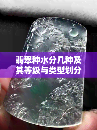 翡翠种水分几种及其等级与类型划分