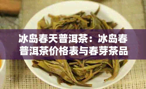 冰岛春天普洱茶：冰岛春普洱茶价格表与春芽茶品详情