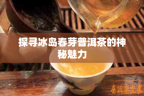 探寻冰岛春芽普洱茶的神秘魅力