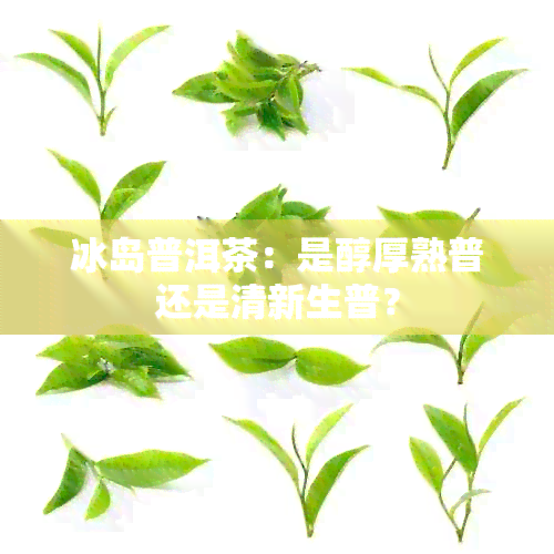 冰岛普洱茶：是醇厚熟普还是清新生普？