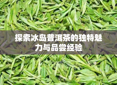 探索冰岛普洱茶的独特魅力与品尝经验