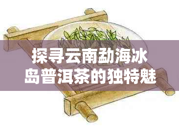 探寻云南勐海冰岛普洱茶的独特魅力