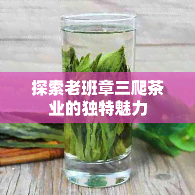 探索老班章三爬茶业的独特魅力