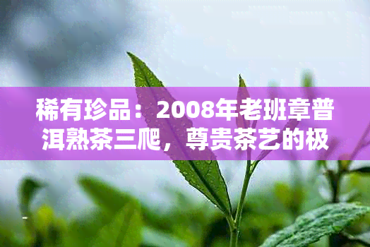 稀有珍品：2008年老班章普洱熟茶三爬，尊贵茶艺的极致体验