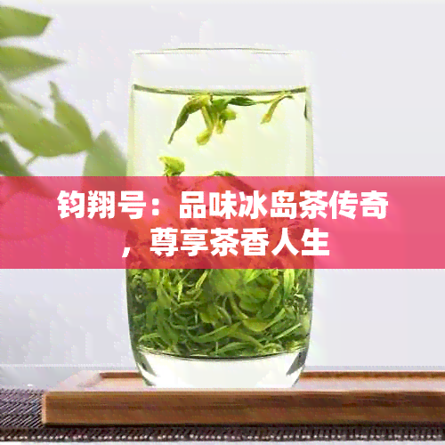 钧翔号：品味冰岛茶传奇，尊享茶香人生