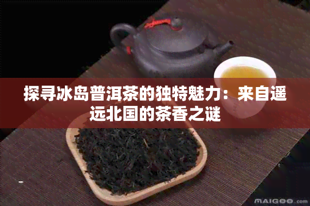 探寻冰岛普洱茶的独特魅力：来自遥远北国的茶香之谜