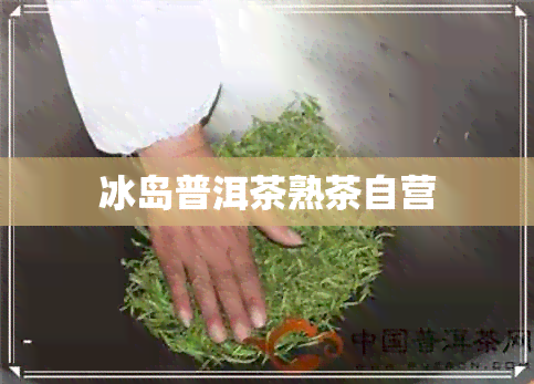 冰岛普洱茶熟茶自营