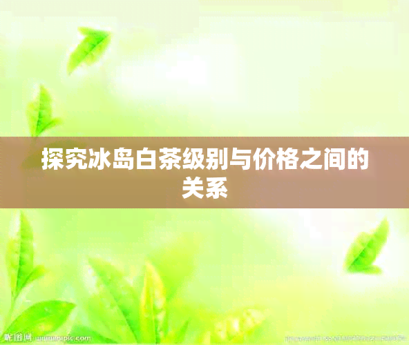 探究冰岛白茶级别与价格之间的关系