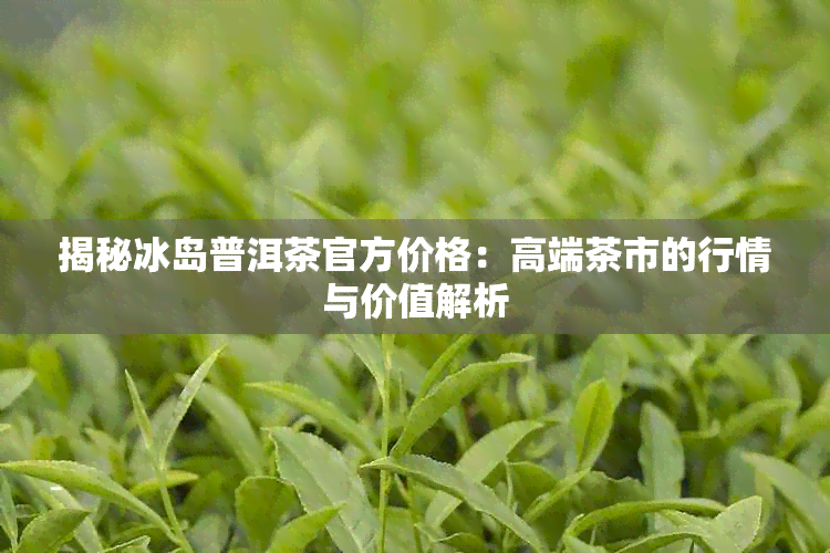 揭秘冰岛普洱茶官方价格：高端茶市的行情与价值解析