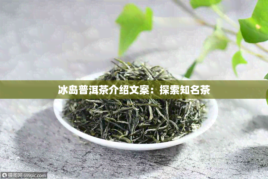 冰岛普洱茶介绍文案：探索知名茶