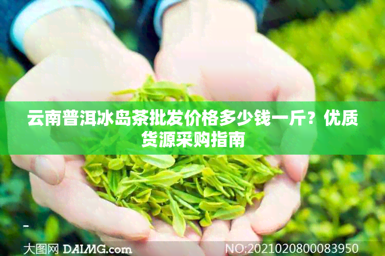 云南普洱冰岛茶批发价格多少钱一斤？优质货源采购指南