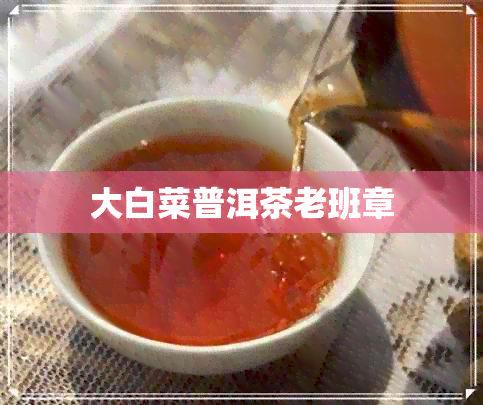 大白菜普洱茶老班章