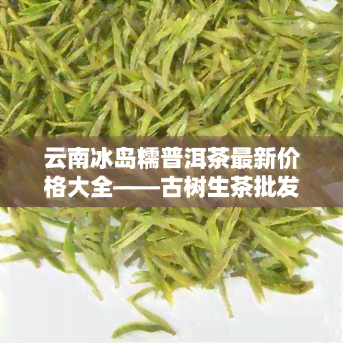 云南冰岛糯普洱茶最新价格大全——古树生茶批发报价，直销