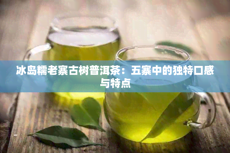 冰岛糯老寨古树普洱茶：五寨中的独特口感与特点