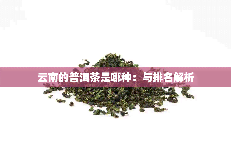 云南的普洱茶是哪种：与排名解析