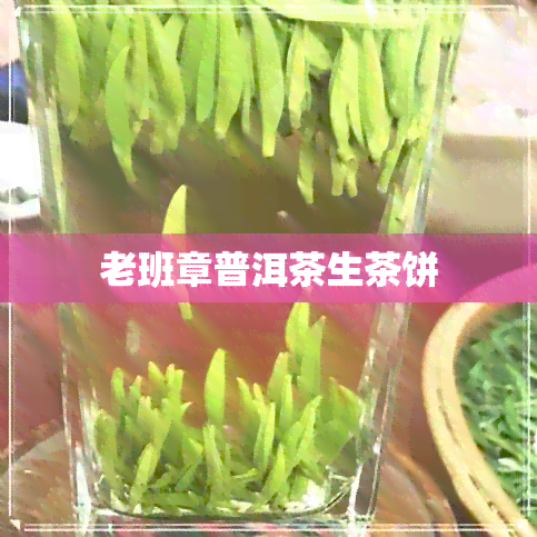 老班章普洱茶生茶饼