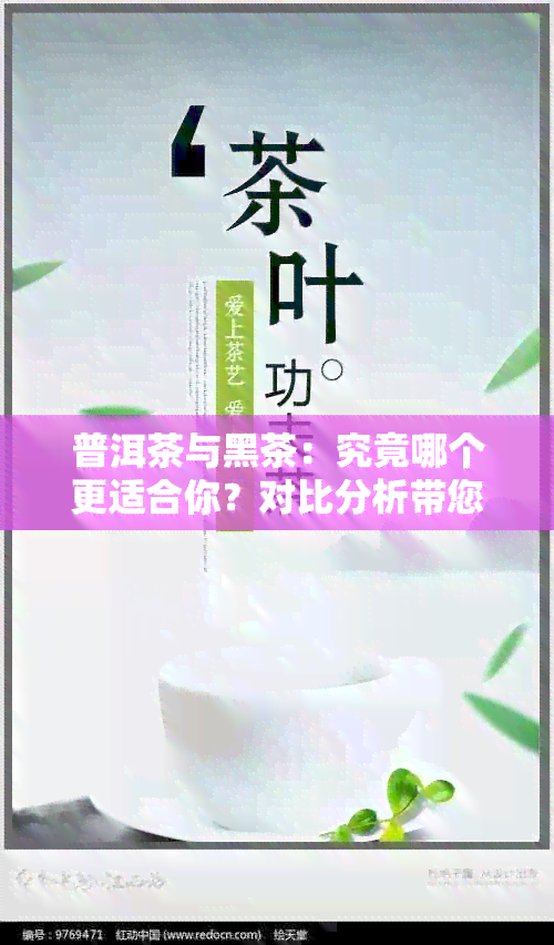 普洱茶与黑茶：究竟哪个更适合你？对比分析带您了解个中差异