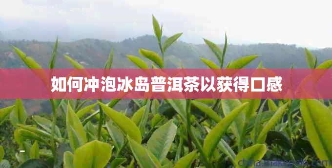 如何冲泡冰岛普洱茶以获得口感