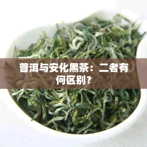 普洱与安化黑茶：二者有何区别？