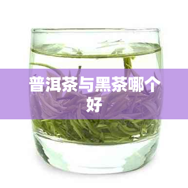 普洱茶与黑茶哪个好