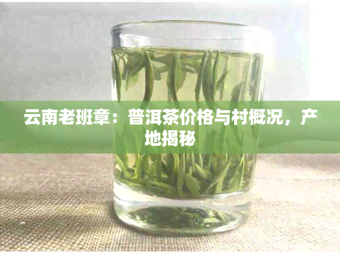 云南老班章：普洱茶价格与村概况，产地揭秘