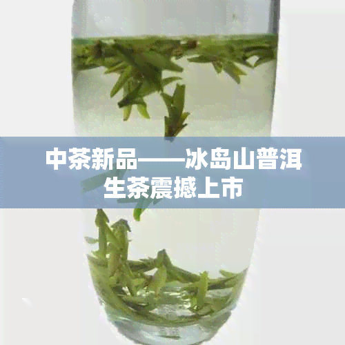 中茶新品——冰岛山普洱生茶震撼上市