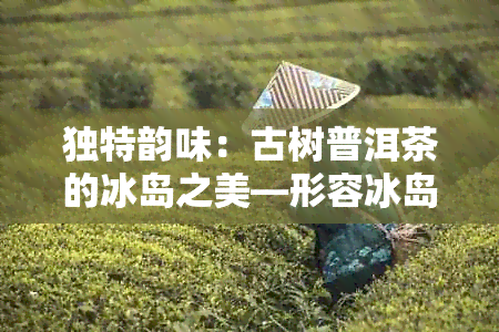 独特韵味：古树普洱茶的冰岛之美—形容冰岛普洱茶的诗词精选