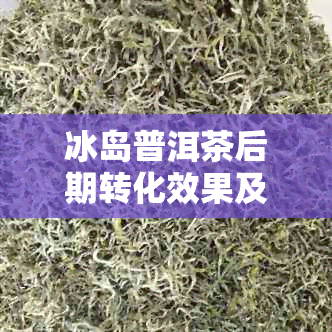 冰岛普洱茶后期转化效果及其方法探究