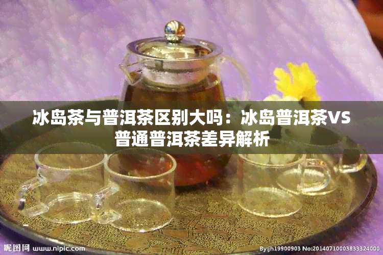 冰岛茶与普洱茶区别大吗：冰岛普洱茶VS普通普洱茶差异解析