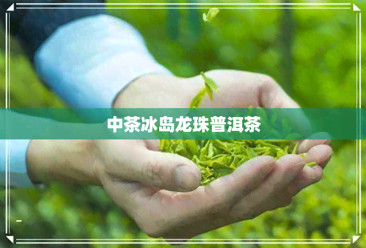 中茶冰岛龙珠普洱茶