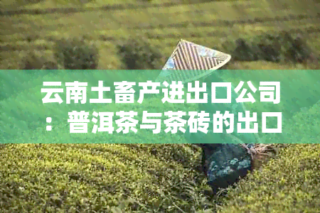 云南土畜产进出口公司：普洱茶与茶砖的出口领导者