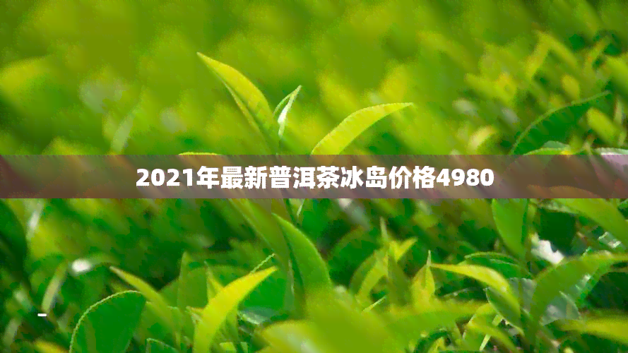 2021年最新普洱茶冰岛价格4980