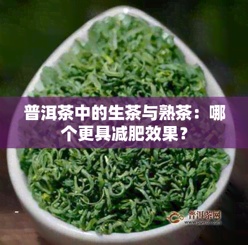 普洱茶中的生茶与熟茶：哪个更具减肥效果？