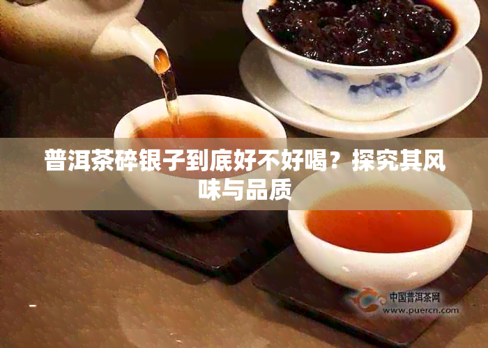 普洱茶碎银子到底好不好喝？探究其风味与品质