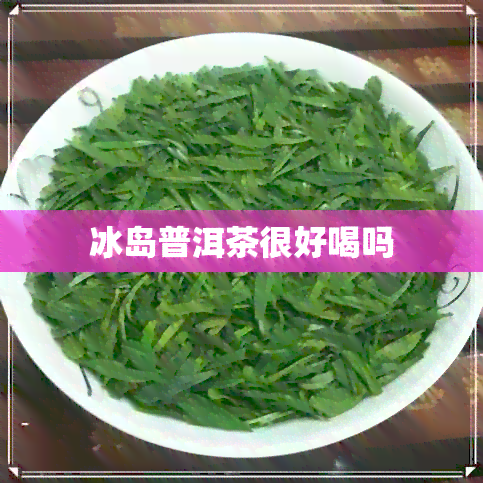 冰岛普洱茶很好喝吗