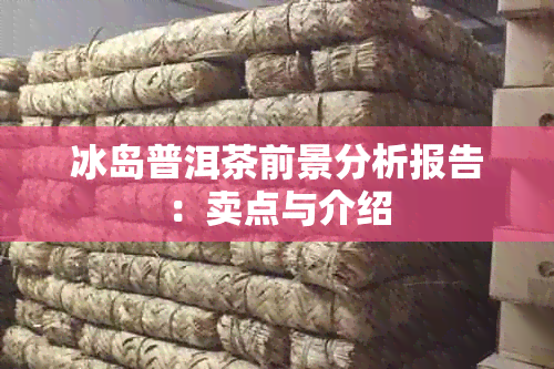 冰岛普洱茶前景分析报告：卖点与介绍