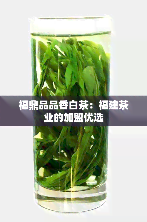 福鼎品品香白茶：福建茶业的加盟优选