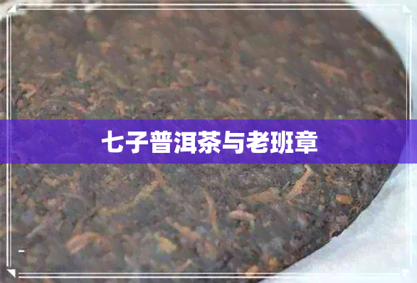 七子普洱茶与老班章