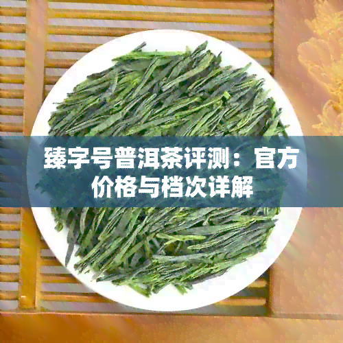 臻字号普洱茶评测：官方价格与档次详解