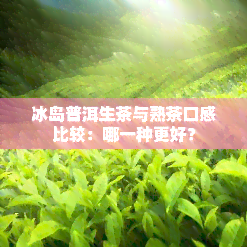 冰岛普洱生茶与熟茶口感比较：哪一种更好？