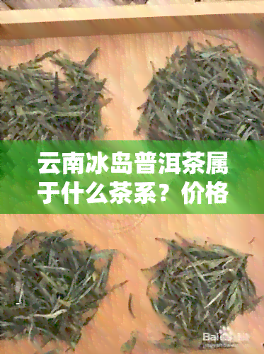 云南冰岛普洱茶属于什么茶系？价格多少？生茶还是熟茶？