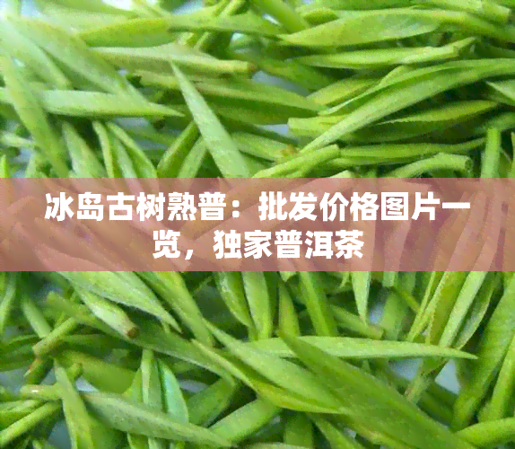 冰岛古树熟普：批发价格图片一览，独家普洱茶