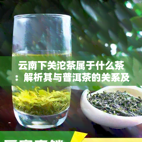 云南下关沱茶属于什么茶：解析其与普洱茶的关系及品质评价